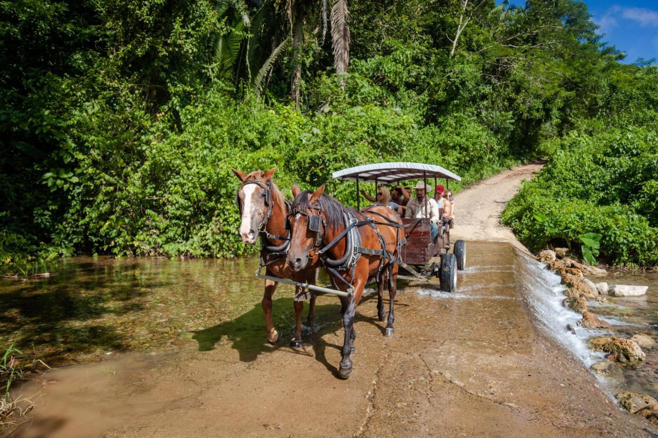 Sleeping Giant Rainforest Lodge Belmopan Esterno foto